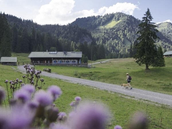 Bild vergr&ouml;&szlig;ern: Schwarzetennalm